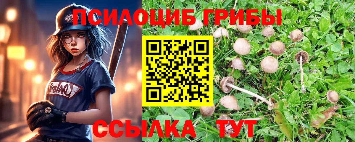 Псилоцибиновые грибы мухоморы Чебоксары