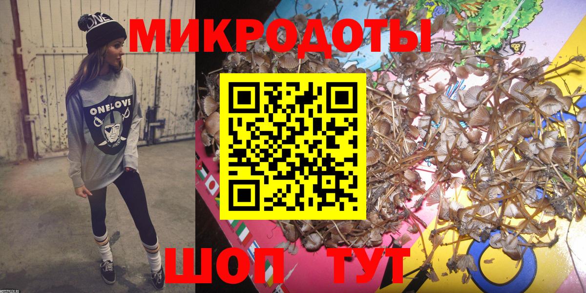 Чебоксары  Галлюциногенные грибы MAGIC MUSHROOMS  купить наркотик  Вход с VPN 